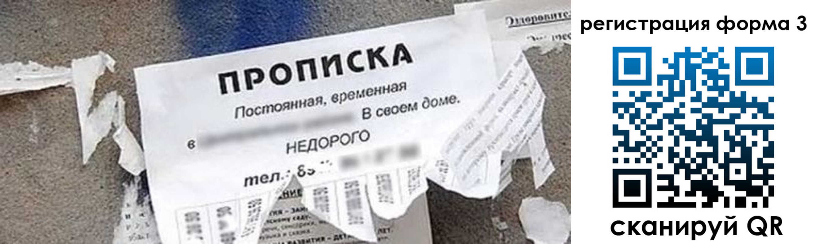 прописка 2025 в Мурманске